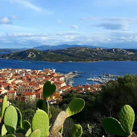 Sweet Home La Maddalena Ла-Маддалена Экстерьер фото